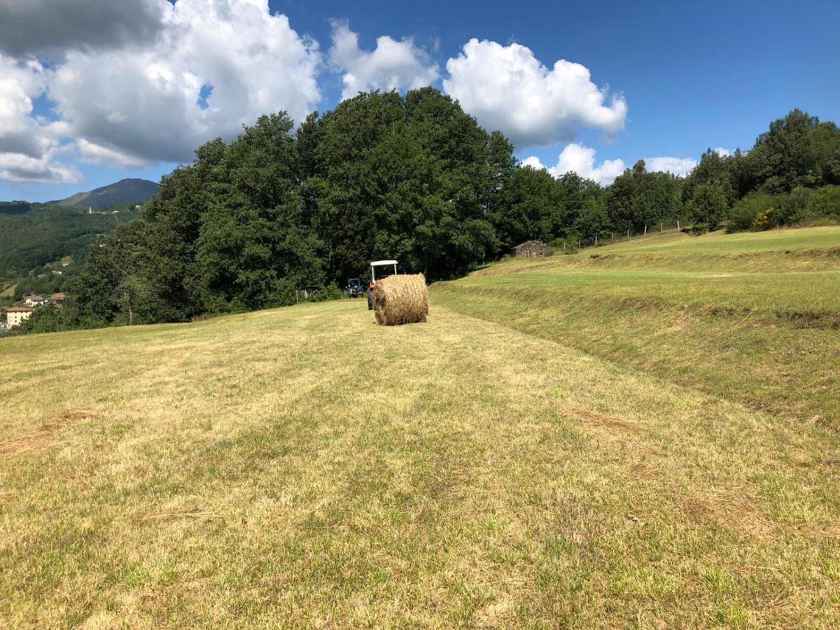 Le Pianelle Villa Varese Ligure Eksteriør bilde